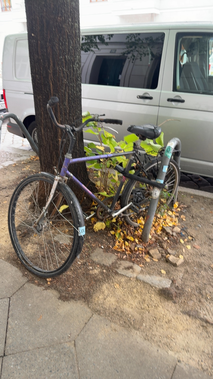 Ein beschädigtes und verschmutztes Fahrrad lehnt an einem Baum neben einem Gehweg, Marienburger Straße 14, Pankow