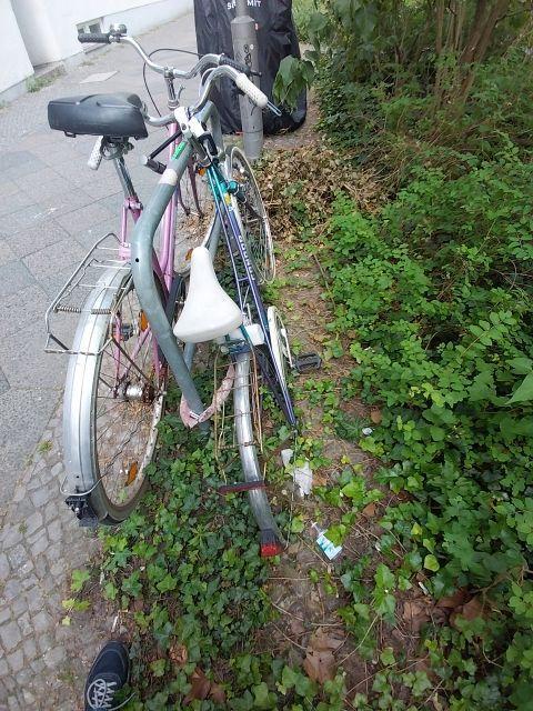 Foto zur Meldung: Abfall - Schrottfahrräder