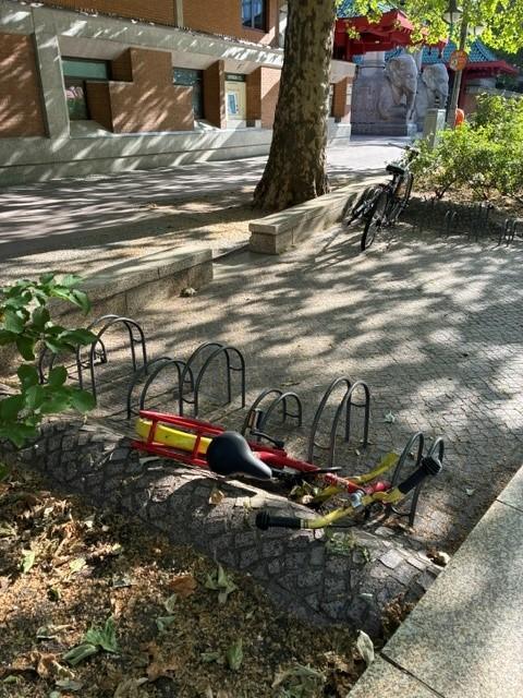 Foto zur Meldung: Abfall - Schrottfahrräder liste