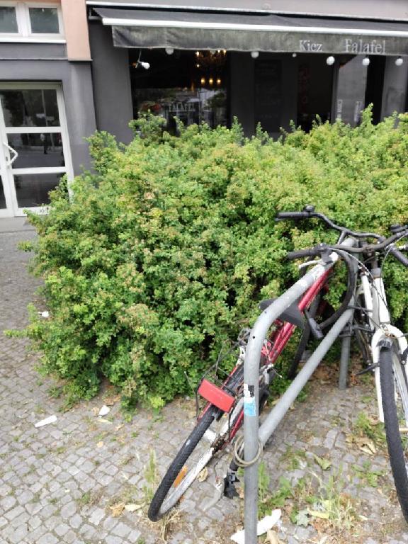 Foto zur Meldung: Abfall - Schrottfahrräder liste