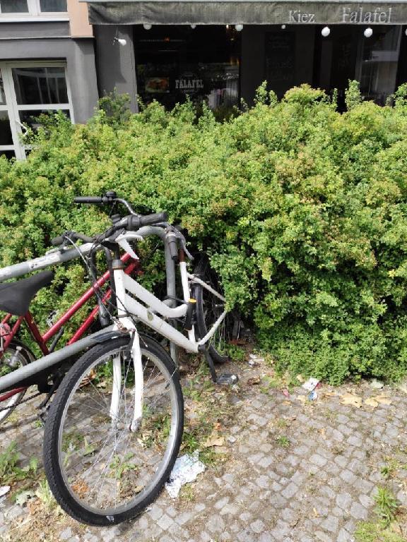 Foto zur Meldung: Abfall - Schrottfahrräder liste
