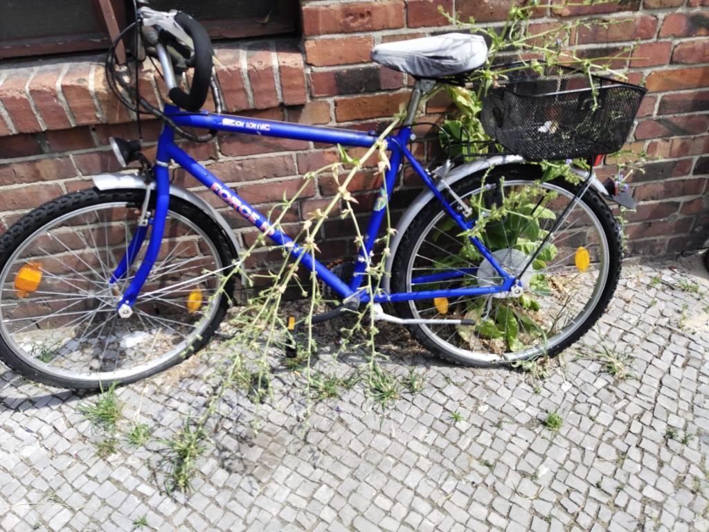 Foto zur Meldung: Abfall - Schrottfahrräder liste