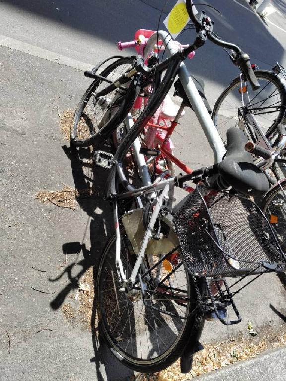 Foto zur Meldung: Abfall - Schrottfahrräder liste