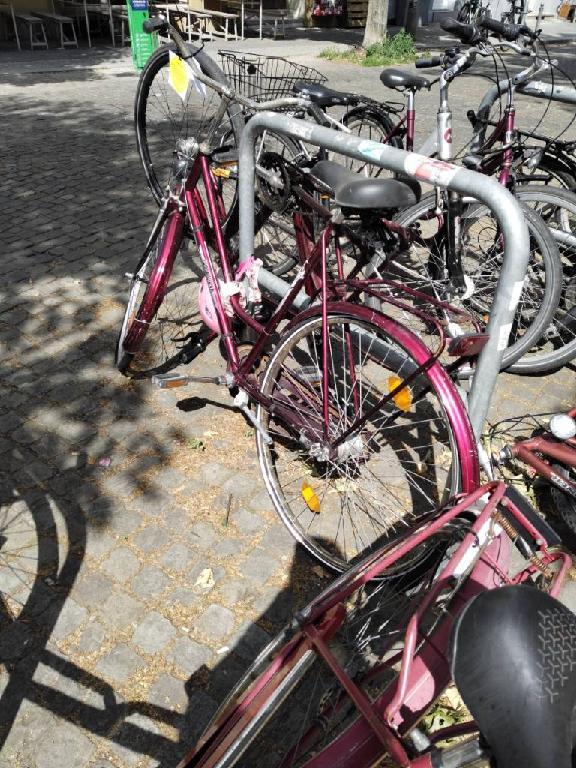 Foto zur Meldung: Abfall - Schrottfahrräder liste