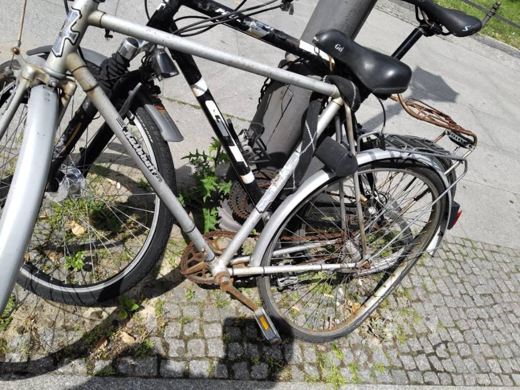 Foto zur Meldung: Abfall - Schrottfahrräder liste