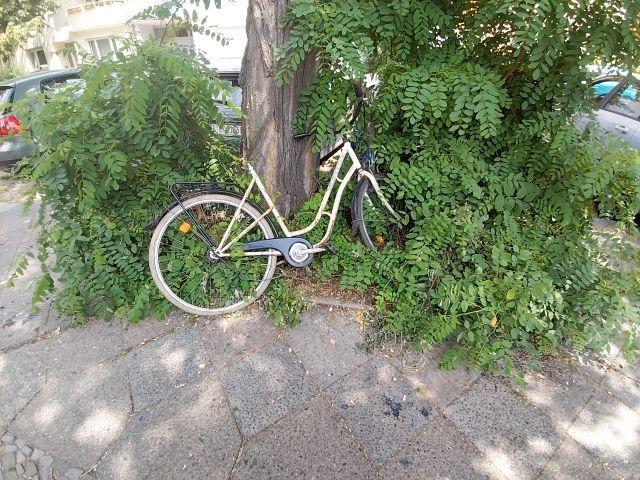 Foto zur Meldung: Abfall - Schrottfahrräder Pr.