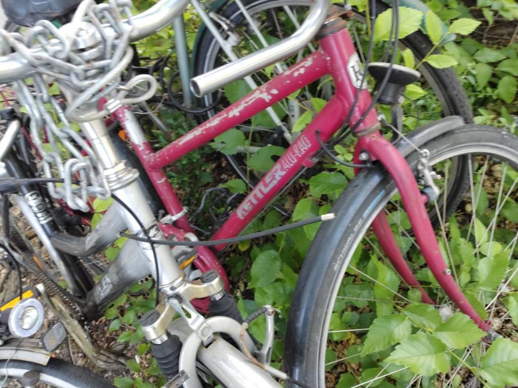 Foto zur Meldung: Abfall - Schrottfahrräder liste