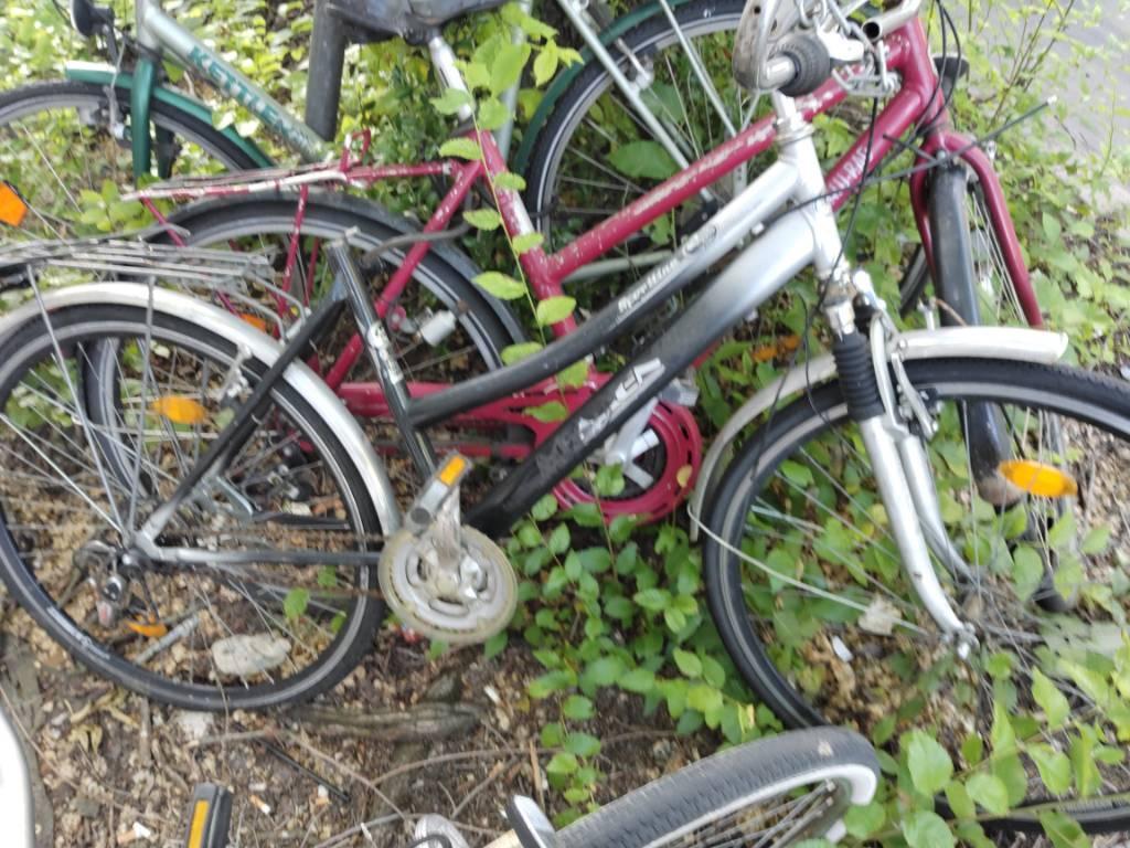 Foto zur Meldung: Abfall - Schrottfahrräder liste