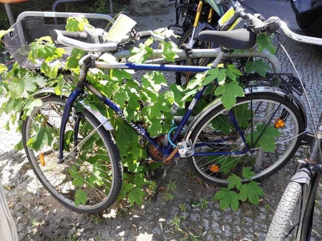 Foto zur Meldung: Abfall - Schrottfahrräder liste