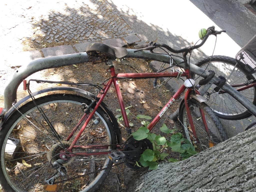 Foto zur Meldung: Abfall - Schrottfahrräder Liste