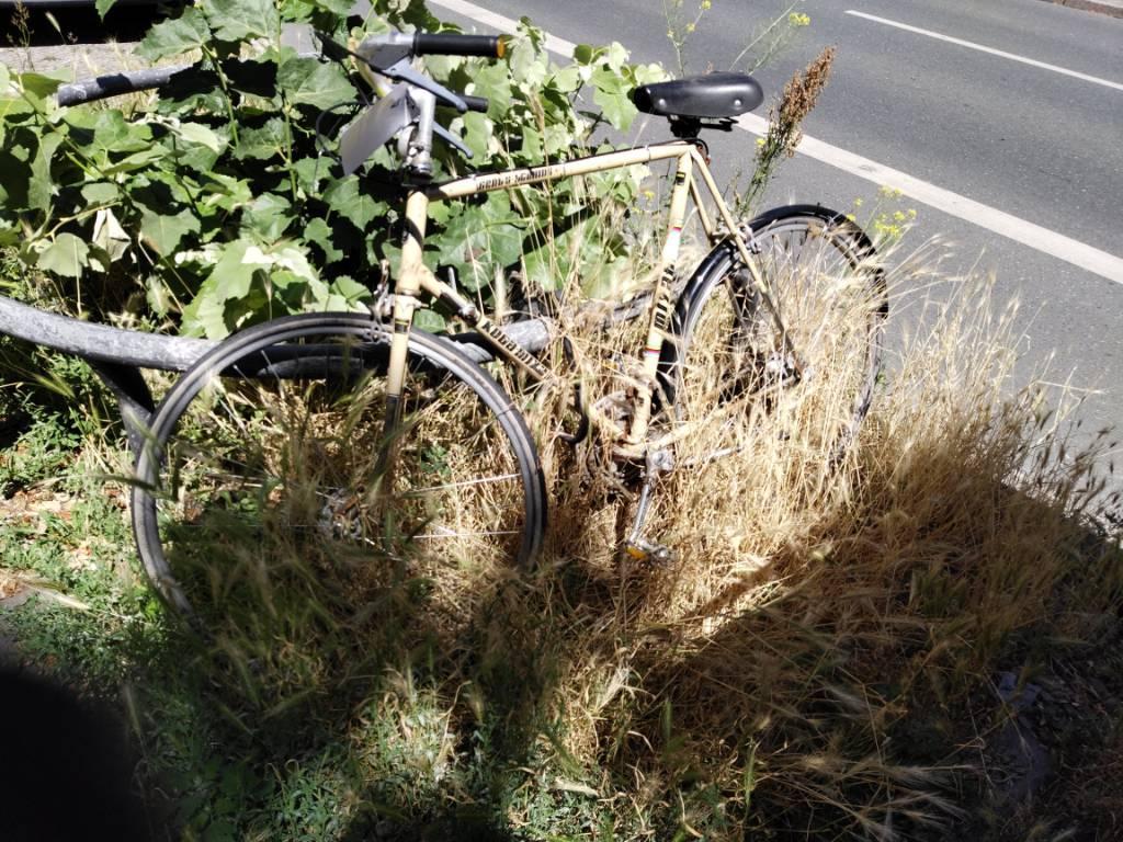 Foto zur Meldung: Abfall - Schrottfahrräder Liste