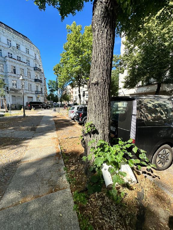 Foto zur Meldung: Abfall - Sperrmüll
