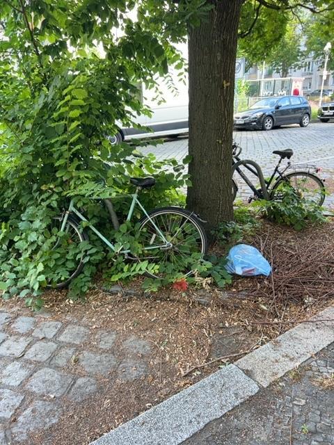 Foto zur Meldung: Abfall - Schrottfahrräder pr.