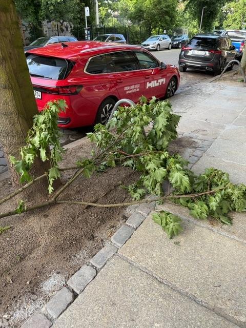 Foto zur Meldung: Abfall - Sonstiges