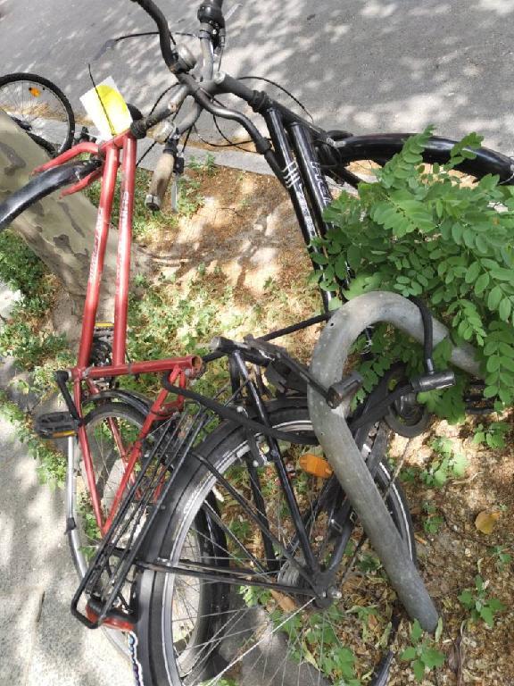 Foto zur Meldung: Abfall - Schrottfahrräder liste