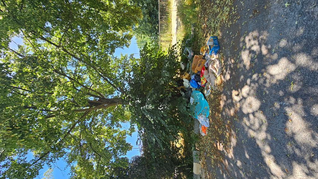 Foto zur Meldung: Abfall - Sperrmüll