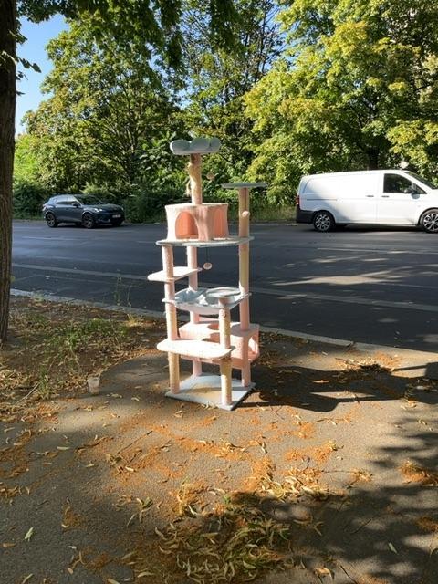 Foto zur Meldung: Abfall - Sperrmüll