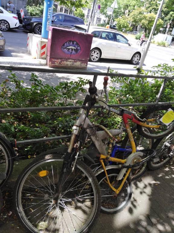 Foto zur Meldung: Abfall - Schrottfahrräder