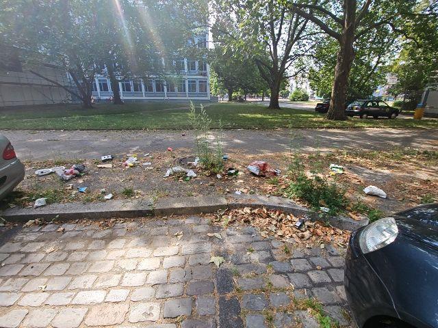 Foto zur Meldung: Abfall - Unrat (Werbezettel)
