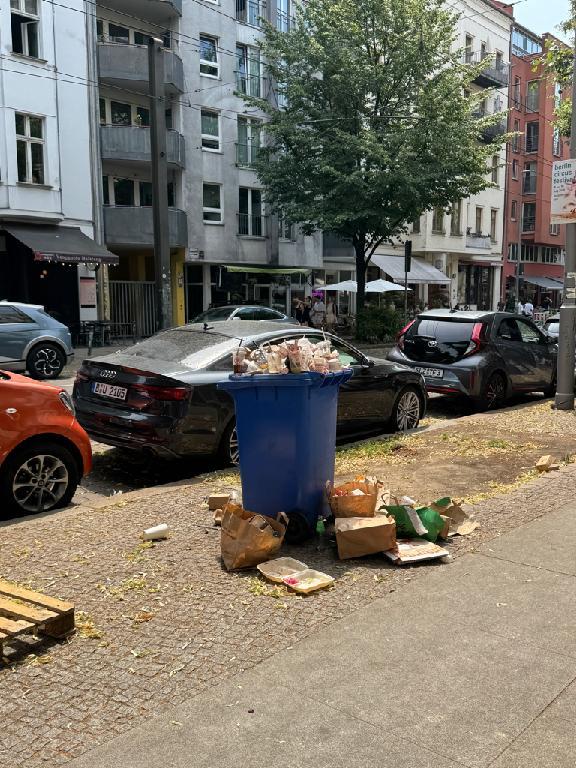 Foto zur Meldung: Sondernutzung - Abfallcontainer