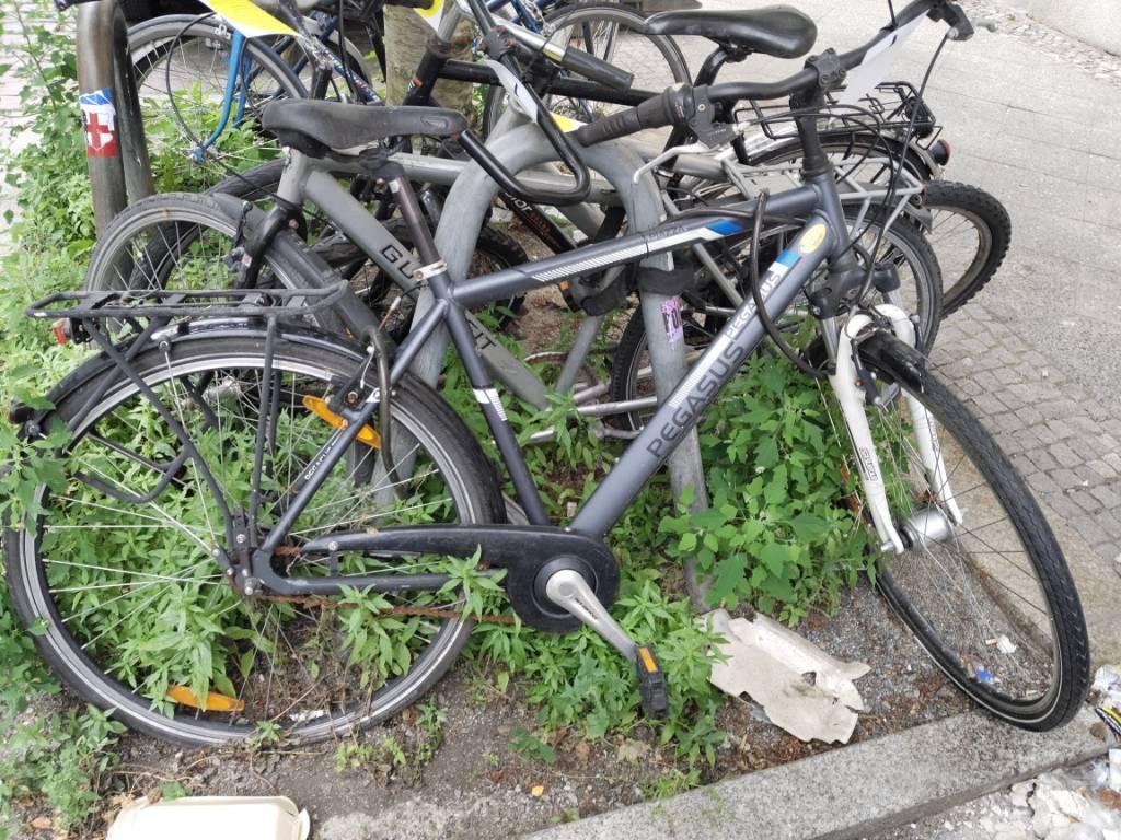 Foto zur Meldung: Abfall - Schrottfahrräder