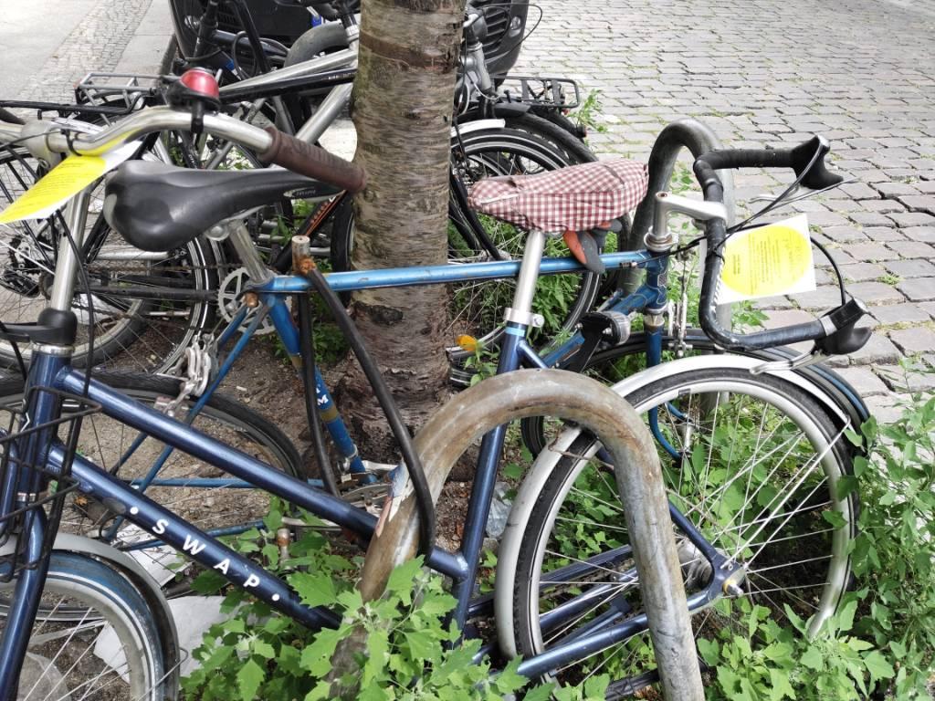 Foto zur Meldung: Abfall - Schrottfahrräder liste