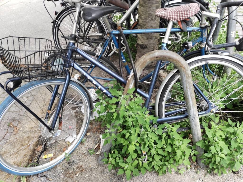 Foto zur Meldung: Abfall - Schrottfahrräder liste