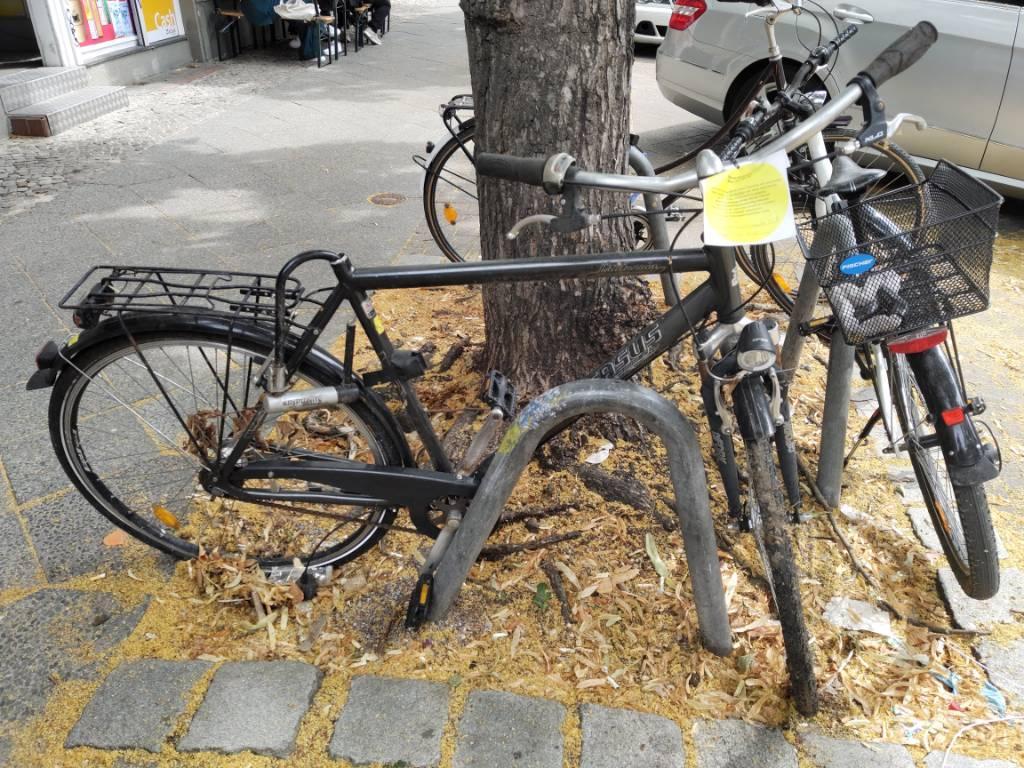 Foto zur Meldung: Abfall - Schrottfahrräder entsorgt