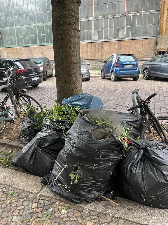 Foto zur Meldung: Abfall - Müllablagerung