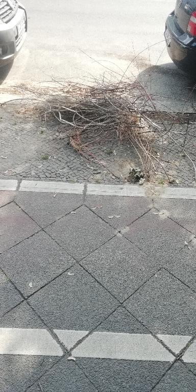 Foto zur Meldung: Abfall - Bioabfälle
