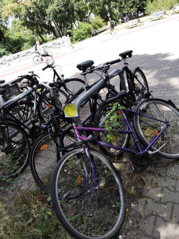 Foto zur Meldung: Abfall - Schrottfahrräder liste