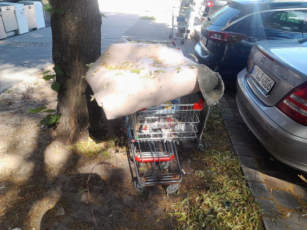 Foto zur Meldung: Abfall - Sperrmüll