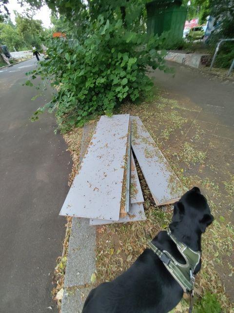 Foto zur Meldung: Abfall - Sperrmüll