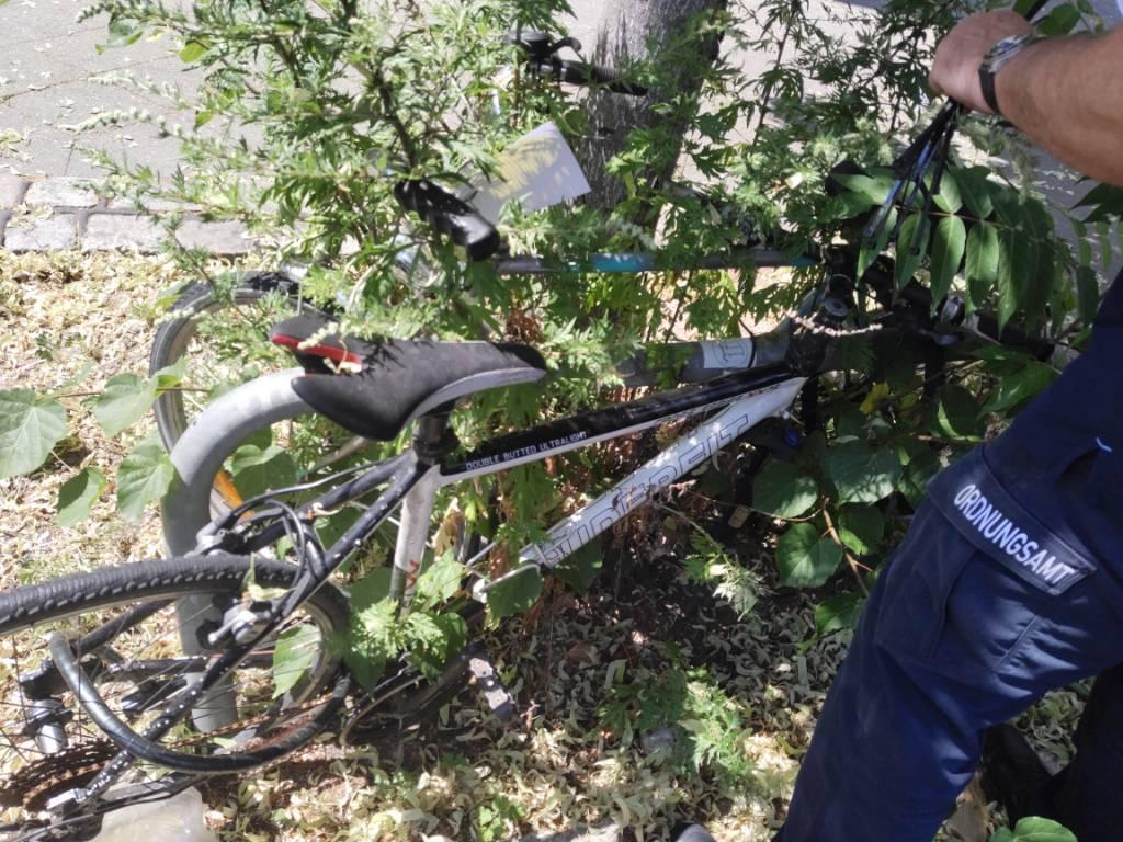 Foto zur Meldung: Abfall - Schrottfahrräder liste