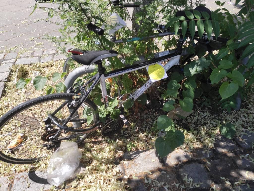 Foto zur Meldung: Abfall - Schrottfahrräder liste