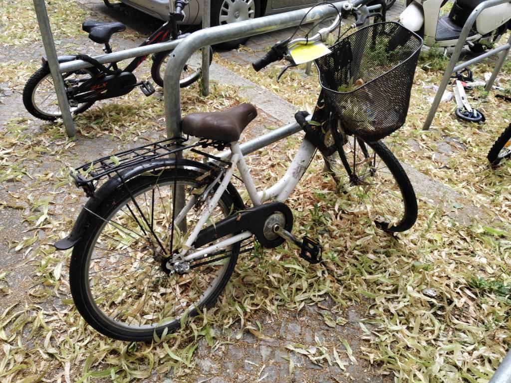 Foto zur Meldung: Abfall - Schrottfahrräder liste