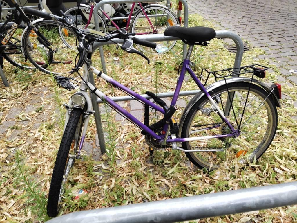 Foto zur Meldung: Abfall - Schrottfahrräder