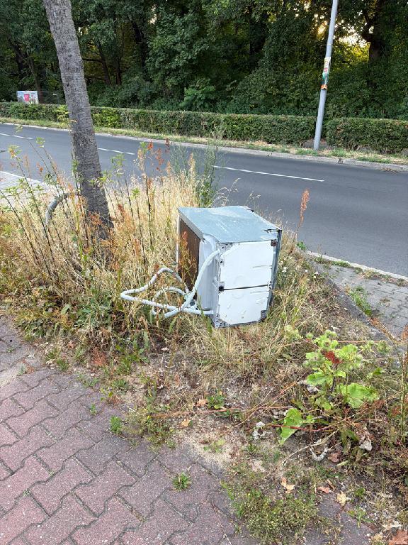 Foto zur Meldung: Abfall - Elektroschrott