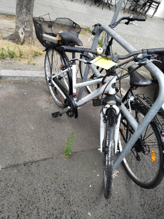 Foto zur Meldung: Abfall - Schrottfahrräder