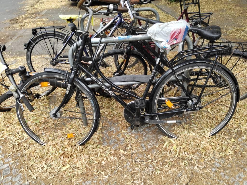 Foto zur Meldung: Abfall - Schrottfahrräder liste