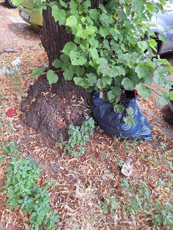Foto zur Meldung: Abfall - Sonstiges