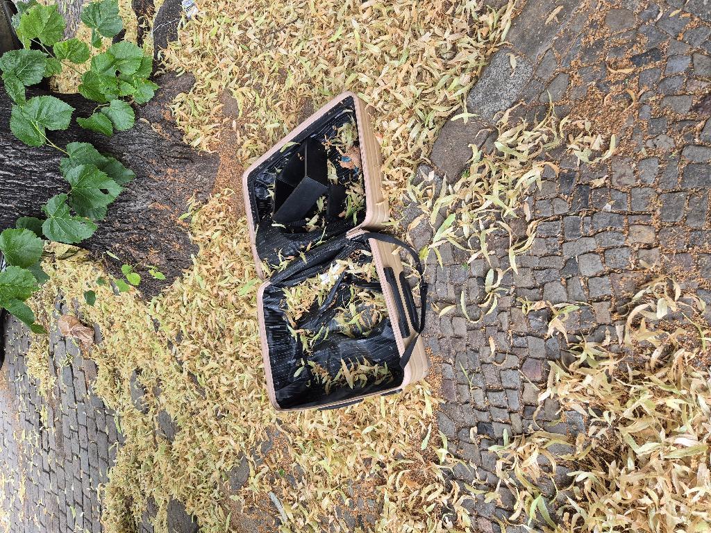 Foto zur Meldung: Abfall - Sperrmüll