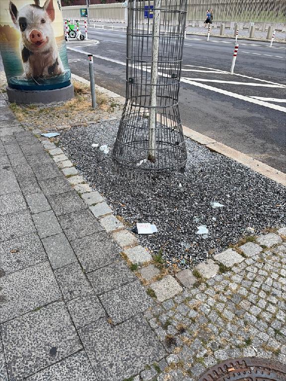 Foto zur Meldung: Straßenaufsicht - Mangelnde Straßenreinigung