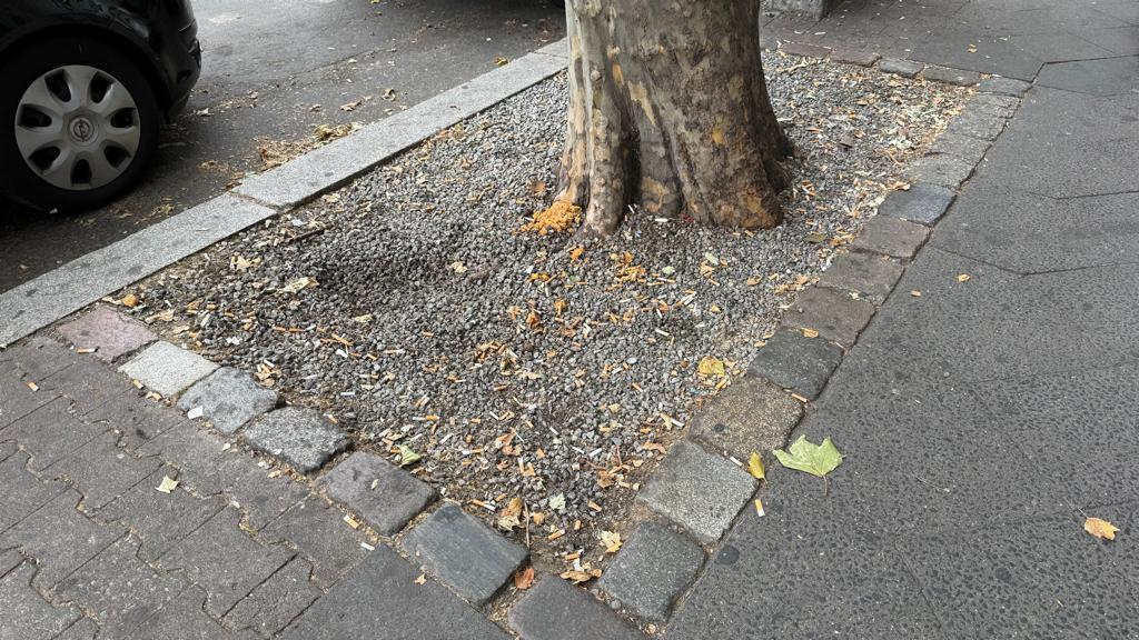 Foto zur Meldung: Straßenaufsicht - Mangelnde Straßenreinigung