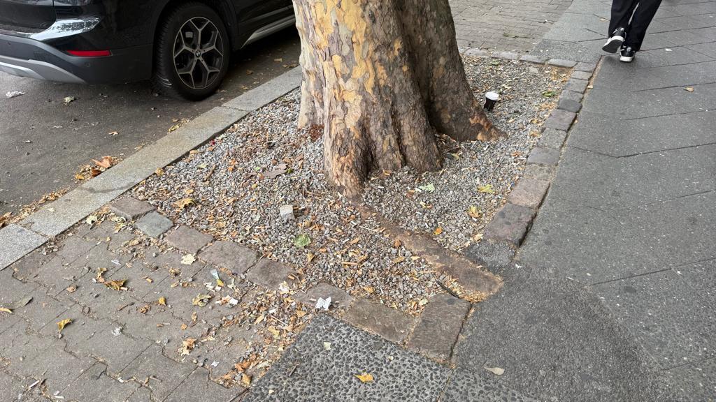Foto zur Meldung: Straßenaufsicht - Mangelnde Straßenreinigung