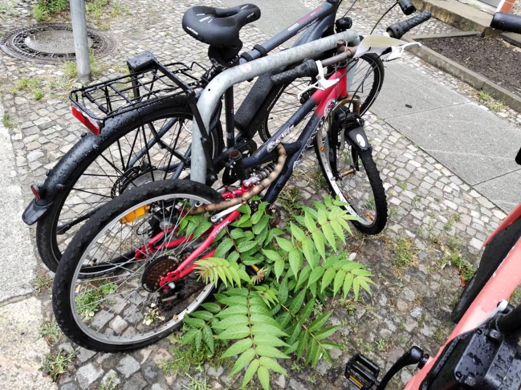 Foto zur Meldung: Abfall - Schrottfahrräder liste