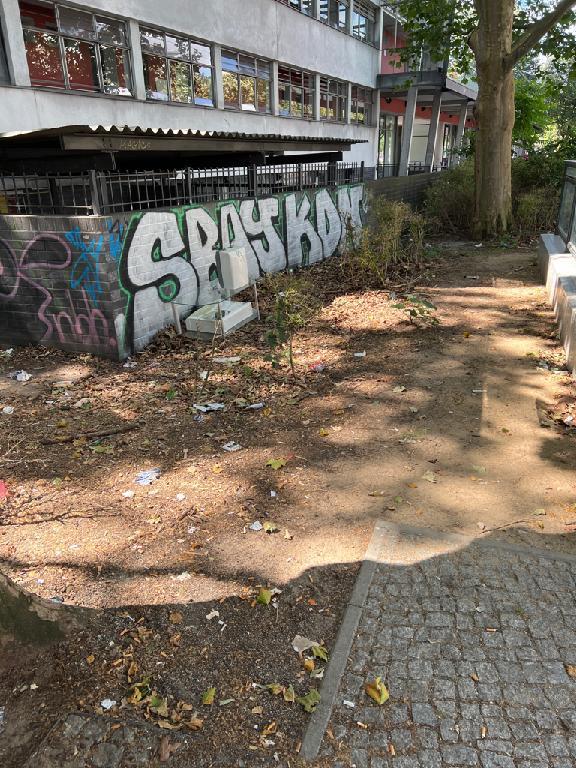 Foto zur Meldung: Straßenaufsicht - Mangelnde Straßenreinigung