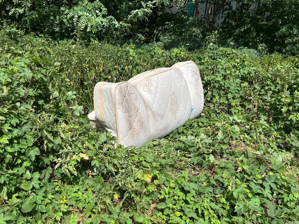 Foto zur Meldung: Abfall - Müllablagerung