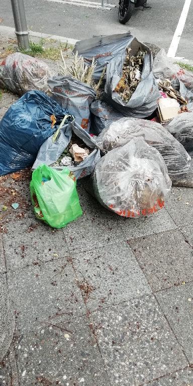 Foto zur Meldung: Abfall - Bioabfälle
