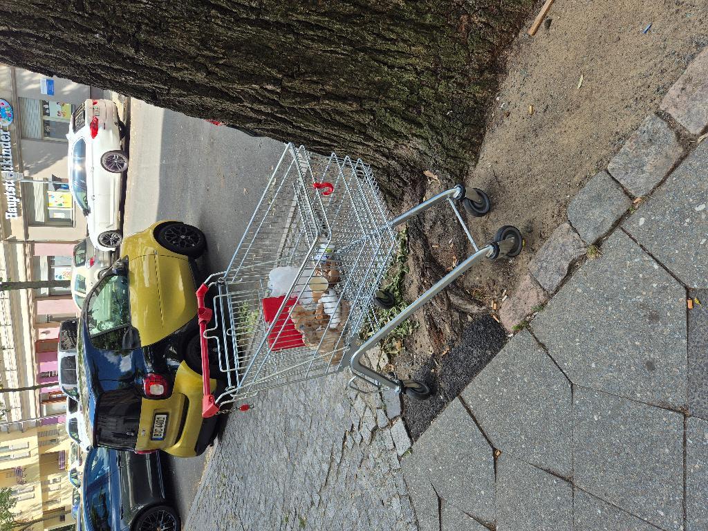 Foto zur Meldung: Abfall - Elektroschrott